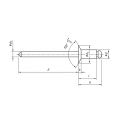 Aluminium/Edelstahl Counterunk Open Typ Blind Nieten